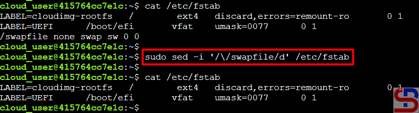 remove a swap file